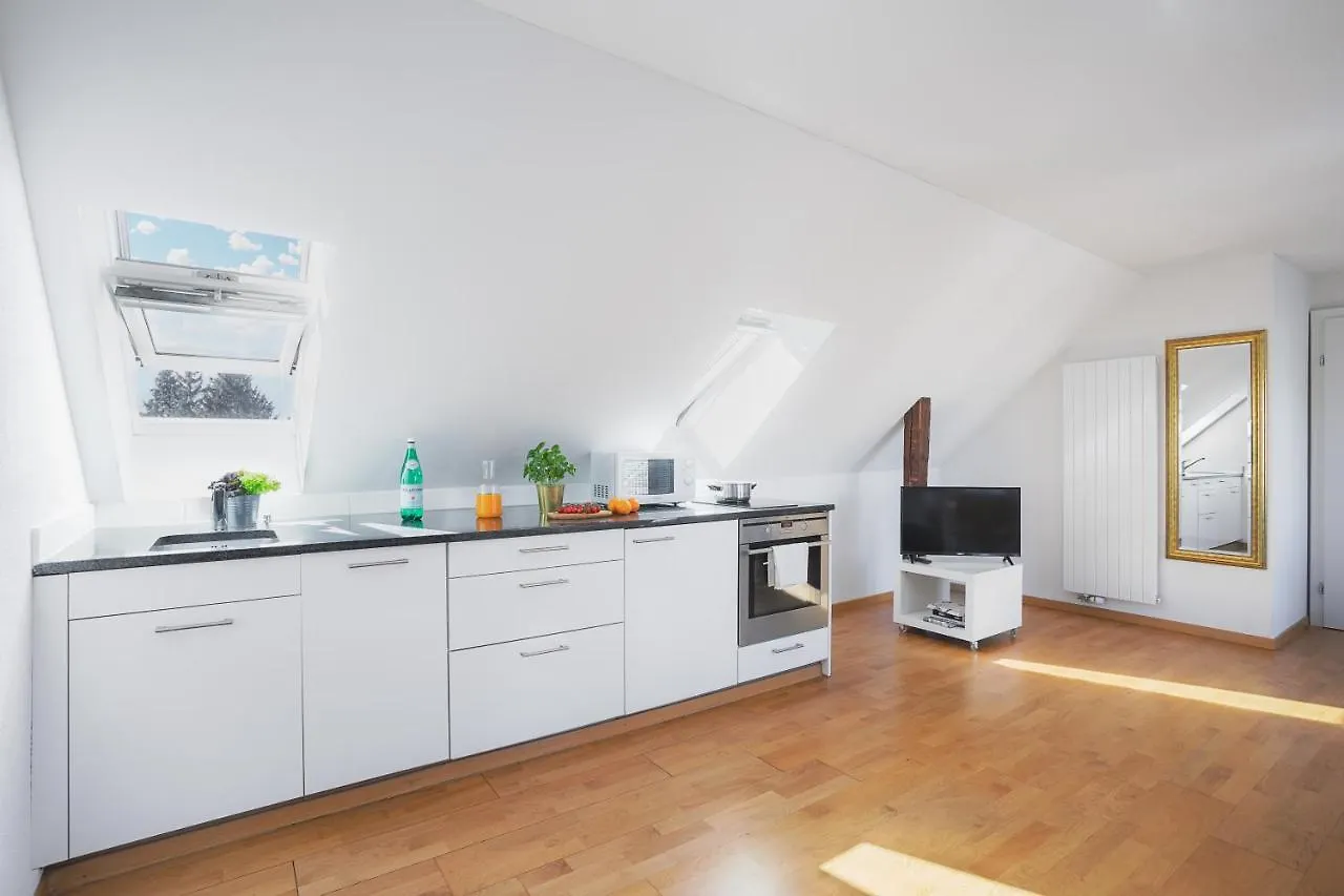 Swiss Star Apartments - Contactless Self Check-In Zürih